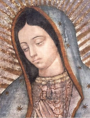 Virgen de Guadalupe 1